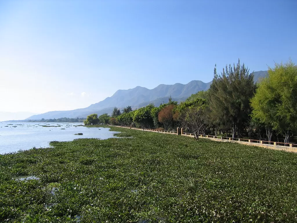 Découvrez les saveurs locales du plus grand lac du Mexique, le lac Chapala