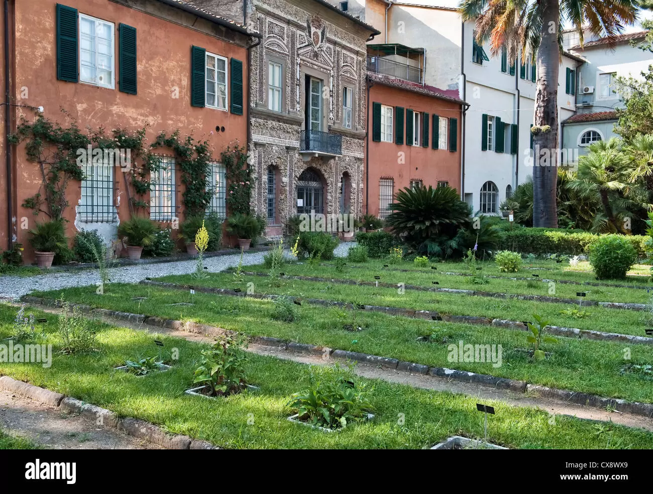 Orto Botanico di Pisa: Il più bel giardino botanico d'Italia