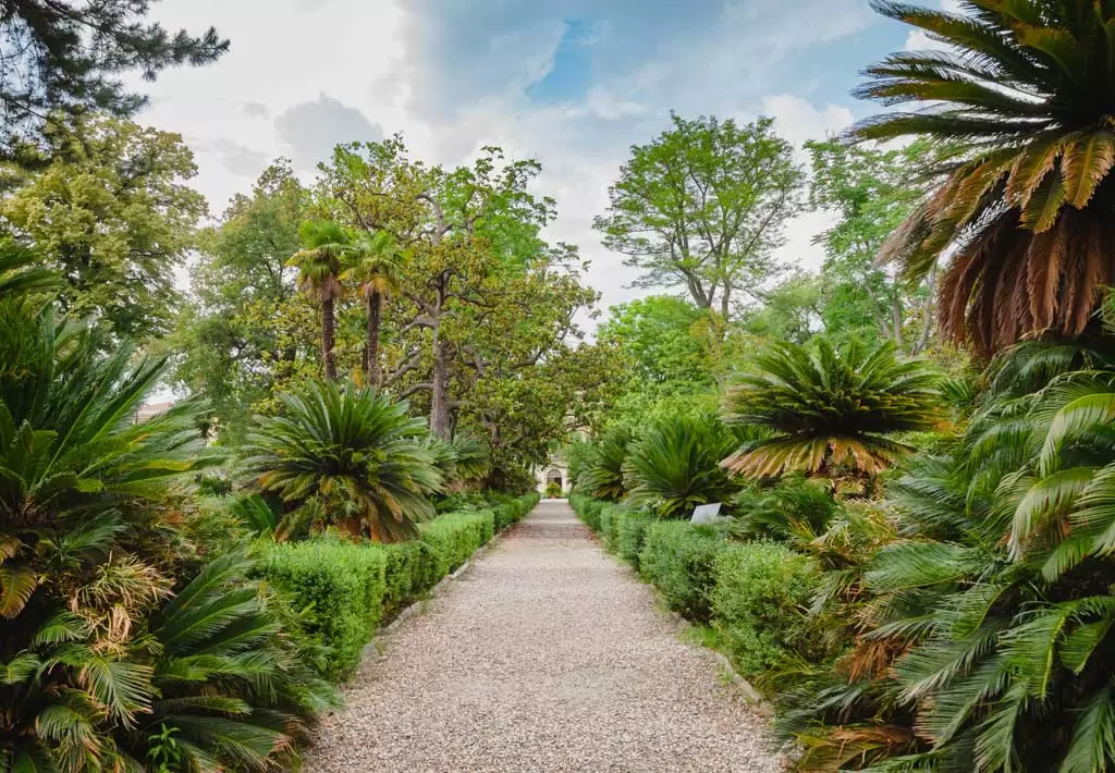 Orto Botanico di Pisa: Viaje al mundo de las plantas