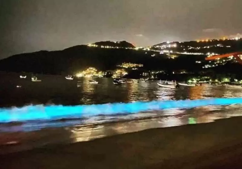 Acapulco'da Yapılacak 10 Aktivite: Tatilinizi Unutulmaz Kılın