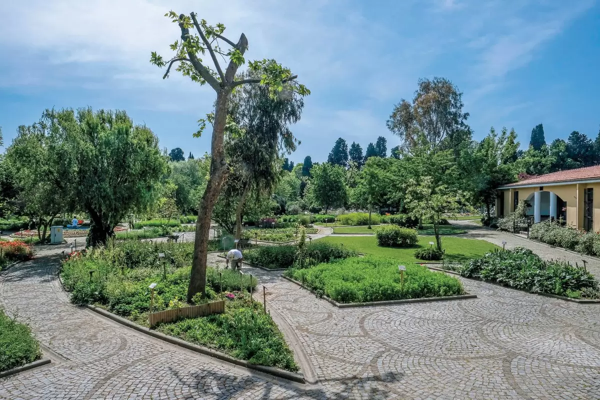 Путешествие в ботанический сад Палермо для любителей экзотических растений