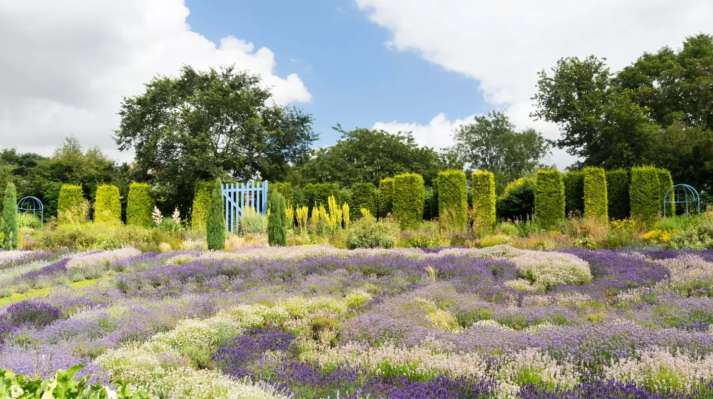 Wandererlebnis inmitten der Natur in York