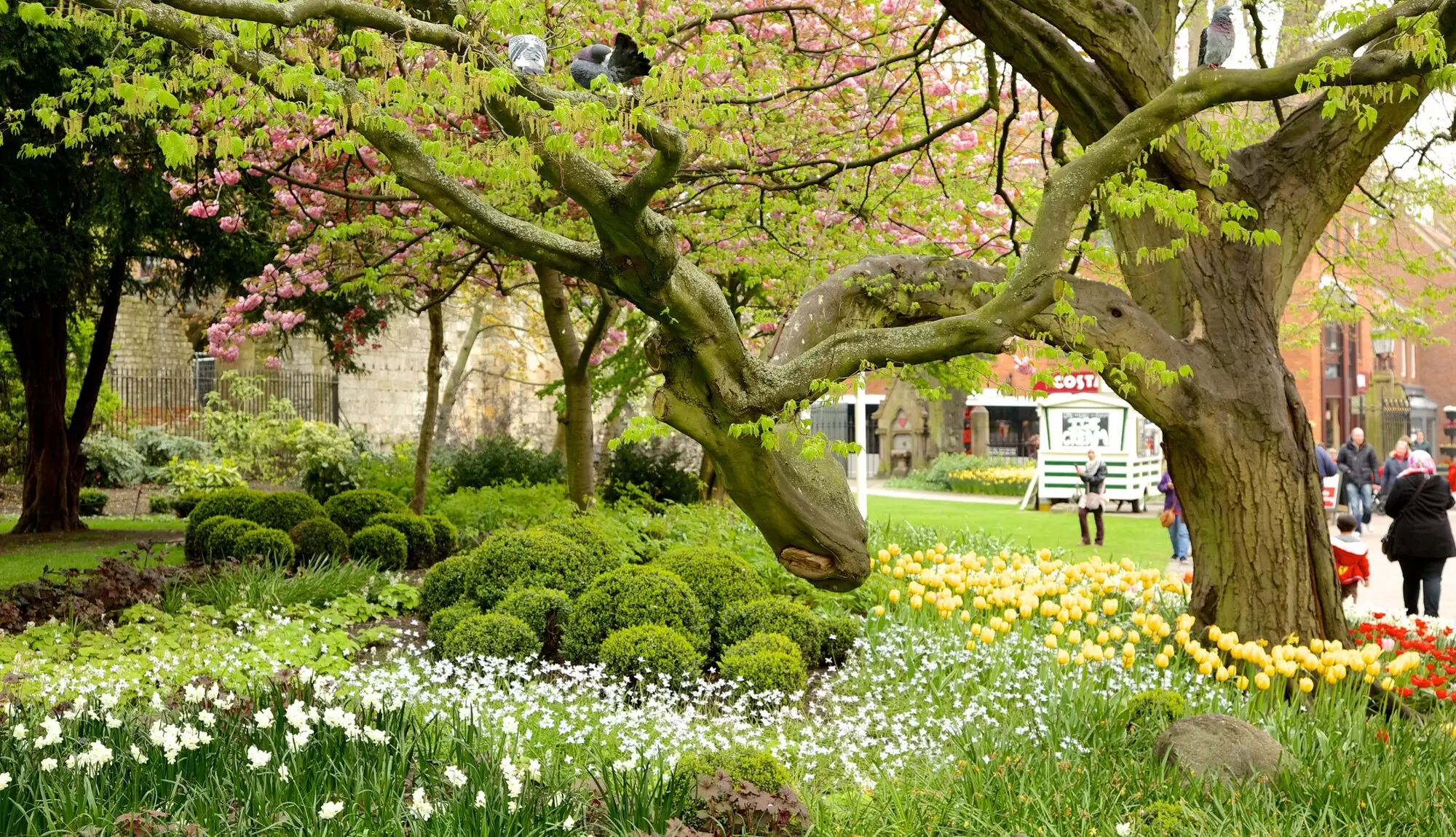 Die schönsten Parks in York, die man besuchen kann