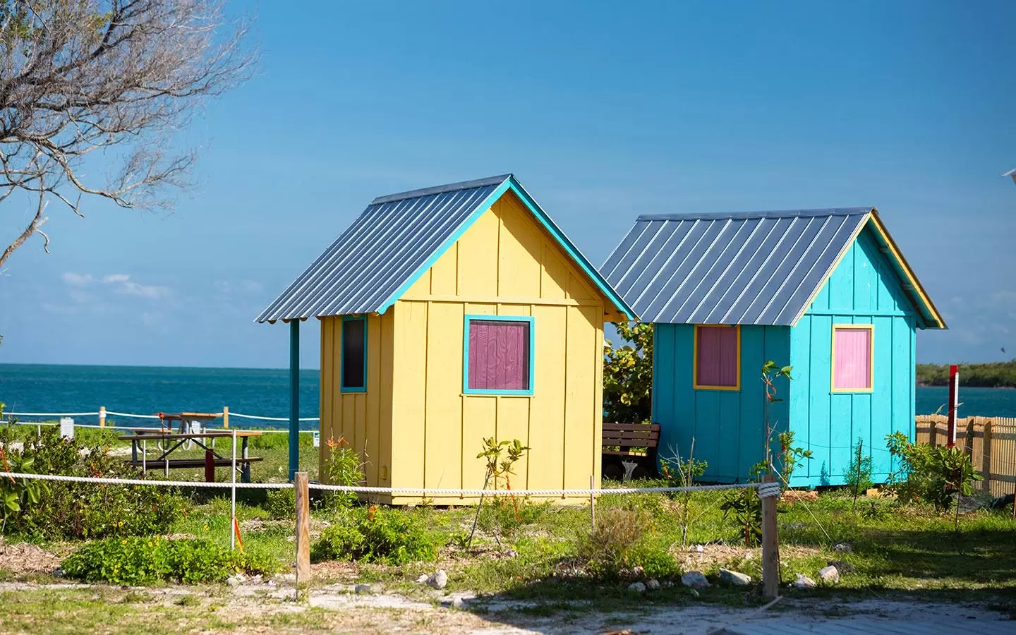 Plage et parc de Virginia Key : un refuge contre le bruit de la ville