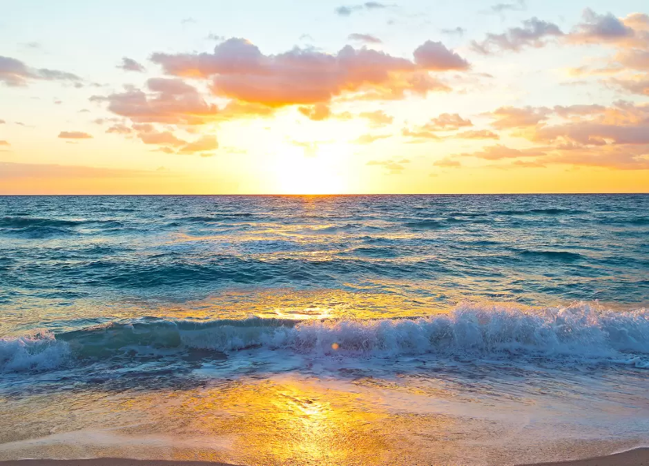 Virginia Key Beach and Park: Un lugar ideal para pasar un día divertido en familia