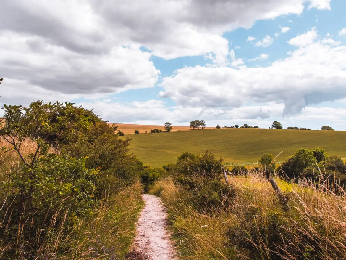 Descoperiți măreția naturii: Plimbarea Devils Dyke