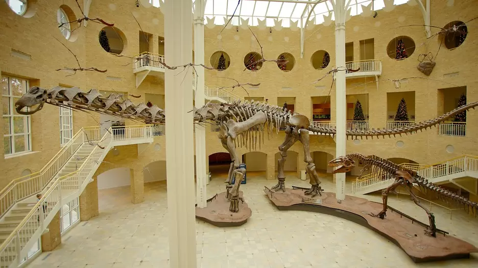 Forschung und Entdeckungen im Fernbank Science Center