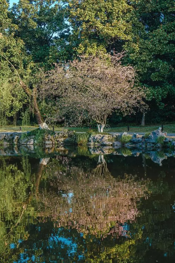 Explorando la vida natural en Hangzhou: la flora y fauna del Lago del Oeste