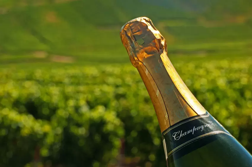 champagne tasting tours