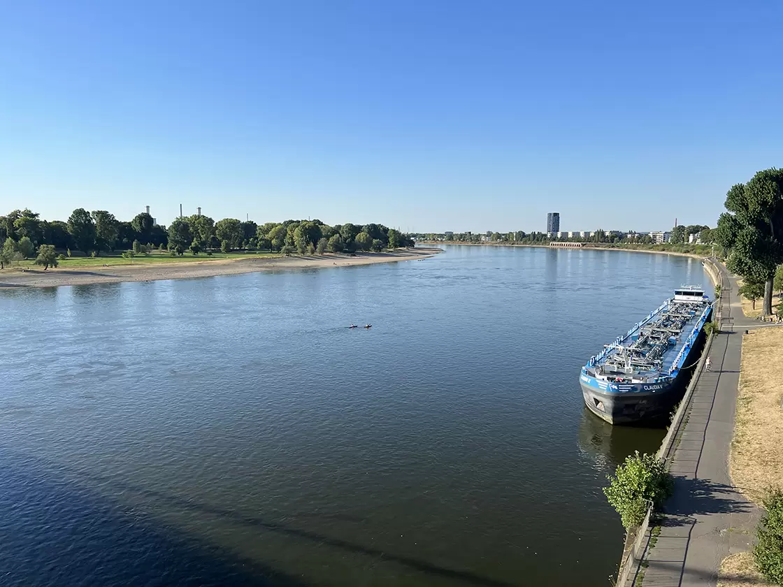 Per scoprire le sue attrazioni storiche e culturali, fai un giro in barca sul fiume Reno