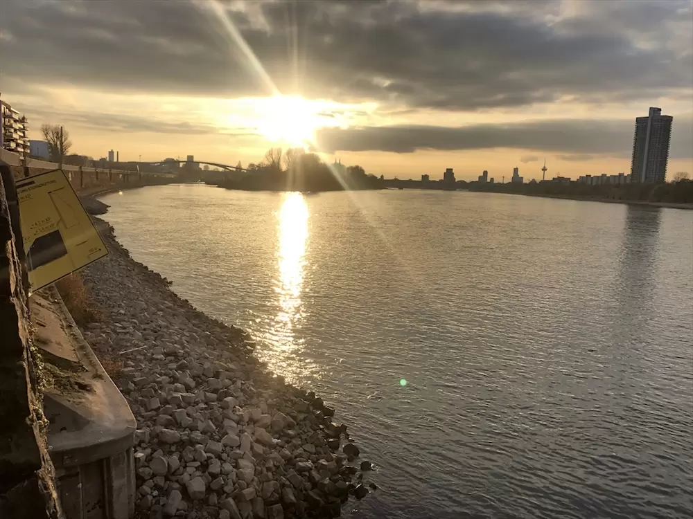 Un punto di vista unico: scopri la città con un tour in barca sul fiume Reno