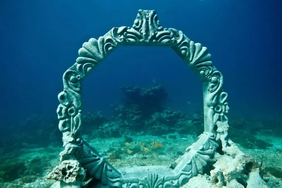 Sumérgete En El Mundo Submarino De Cancún Tourist Platform 7853